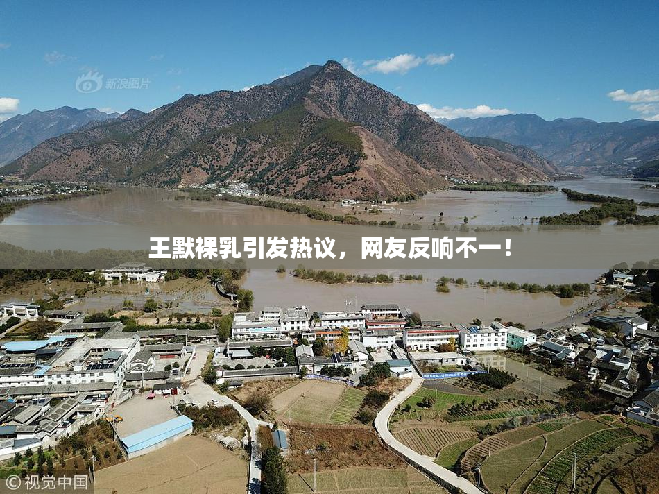 王默裸乳引发热议，网友反响不一！