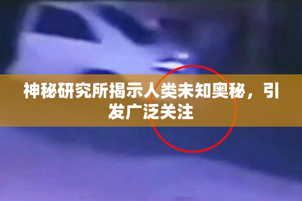 神秘研究所揭示人类未知奥秘，引发广泛关注