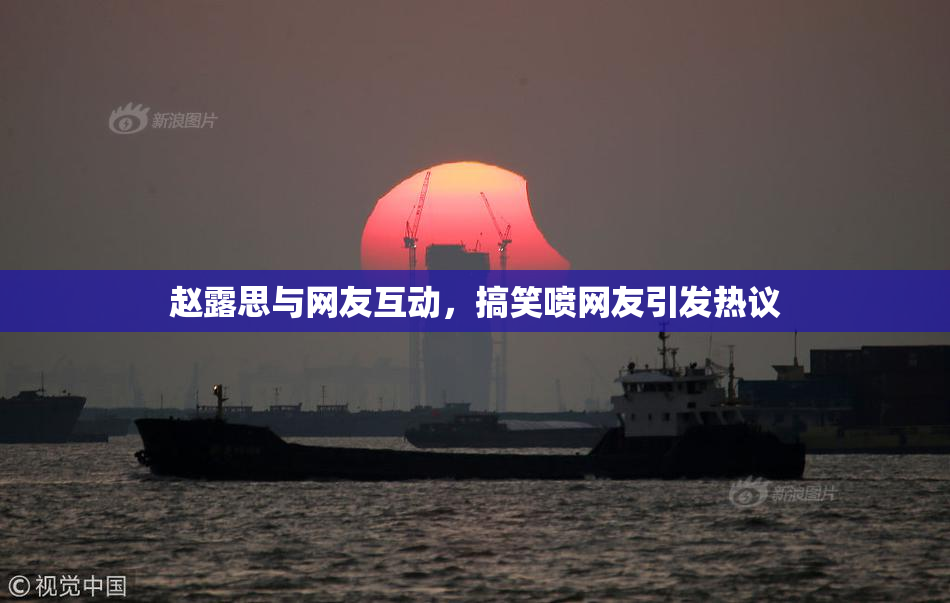 赵露思与网友互动，搞笑喷网友引发热议