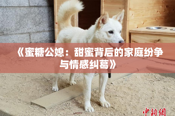 《蜜糖公媳：甜蜜背后的家庭纷争与情感纠葛》