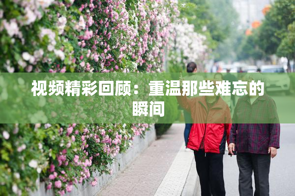 视频精彩回顾：重温那些难忘的瞬间