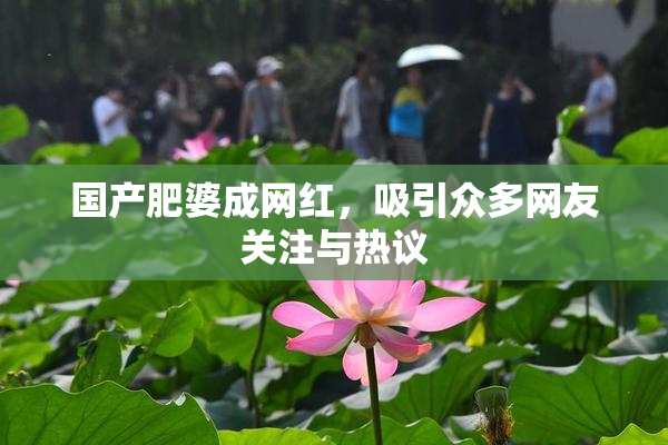 国产肥婆成网红，吸引众多网友关注与热议