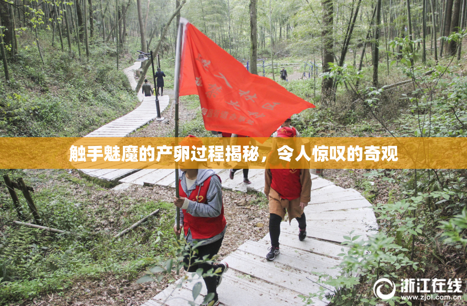 触手魅魔的产卵过程揭秘，令人惊叹的奇观