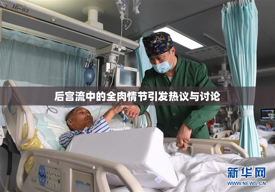 后宫流中的全肉情节引发热议与讨论