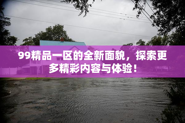 99精品一区的全新面貌，探索更多精彩内容与体验！