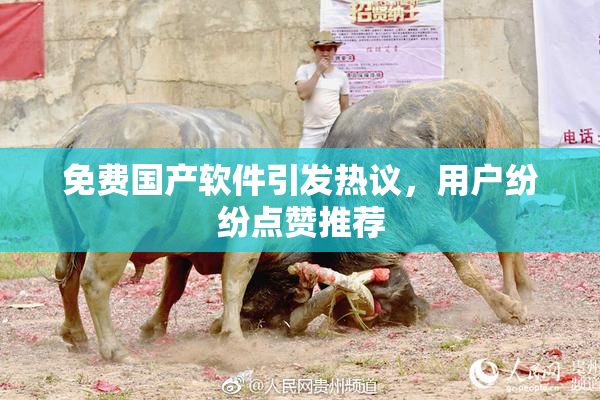 免费国产软件引发热议，用户纷纷点赞推荐