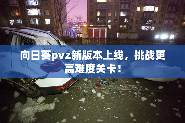 向日葵pvz新版本上线，挑战更高难度关卡！