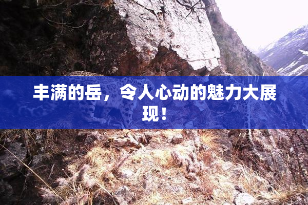 丰满的岳，令人心动的魅力大展现！