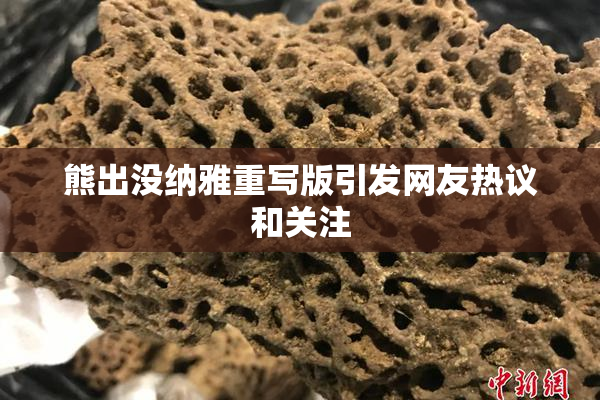 熊出没纳雅重写版引发网友热议和关注