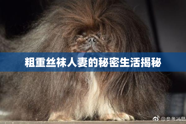 粗重丝袜人妻的秘密生活揭秘
