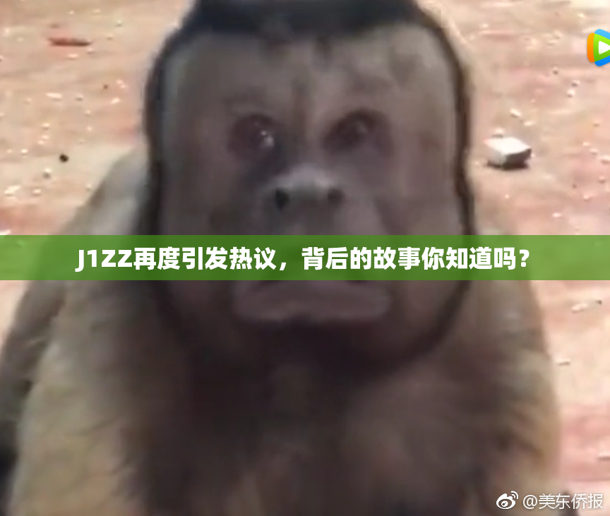 J1ZZ再度引发热议，背后的故事你知道吗？