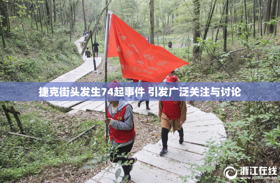 捷克街头发生74起事件 引发广泛关注与讨论