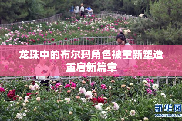 龙珠中的布尔玛角色被重新塑造重启新篇章