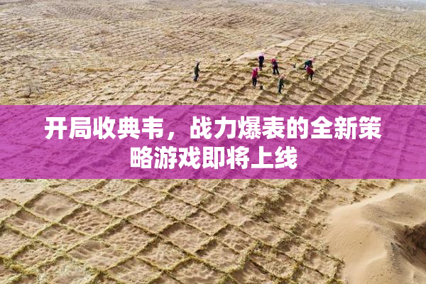 开局收典韦，战力爆表的全新策略游戏即将上线