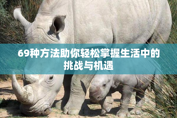 69种方法助你轻松掌握生活中的挑战与机遇