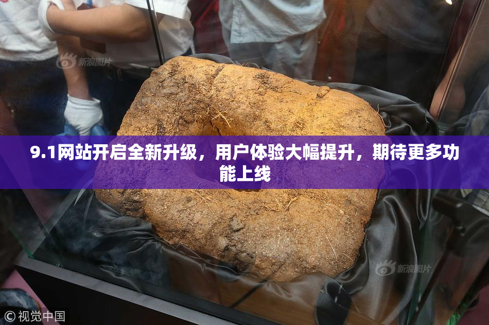 9.1网站开启全新升级，用户体验大幅提升，期待更多功能上线