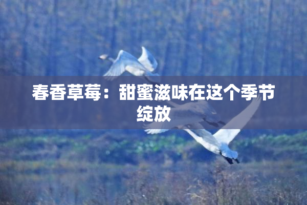春香草莓：甜蜜滋味在这个季节绽放