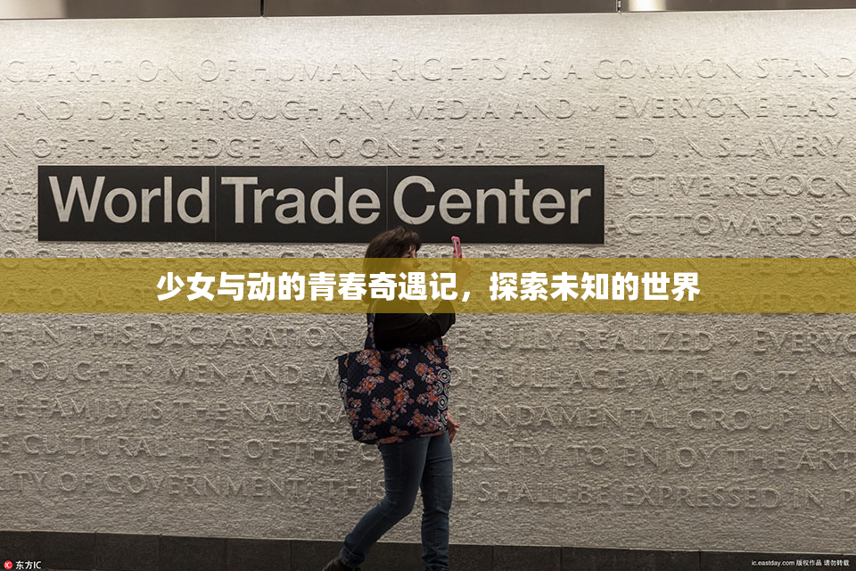 少女与动的青春奇遇记，探索未知的世界