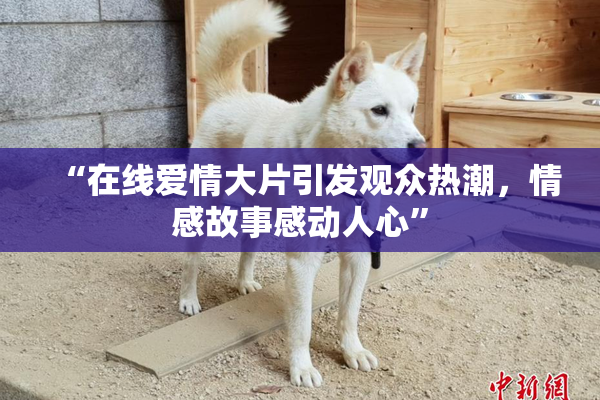 “在线爱情大片引发观众热潮，情感故事感动人心”