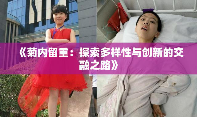 《菊内留重：探索多样性与创新的交融之路》