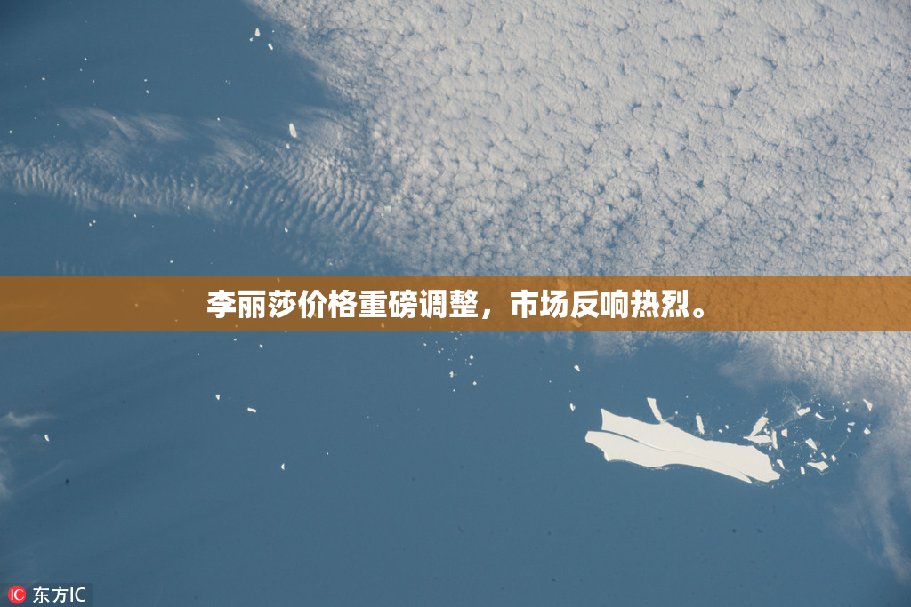 李丽莎价格重磅调整，市场反响热烈。