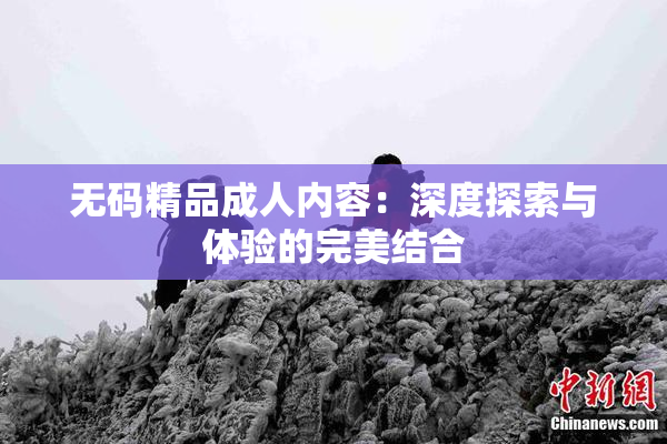 无码精品成人内容：深度探索与体验的完美结合