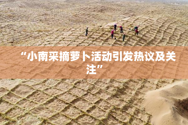 “小南采摘萝卜活动引发热议及关注”
