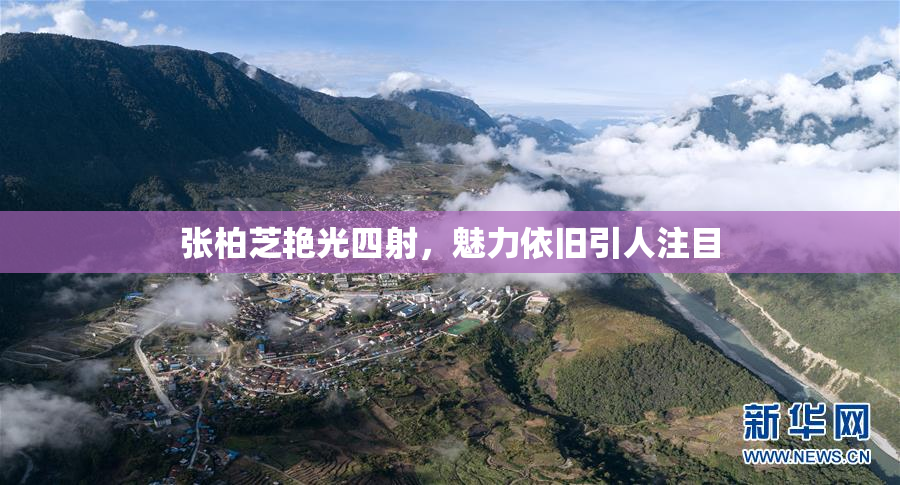张柏芝艳光四射，魅力依旧引人注目