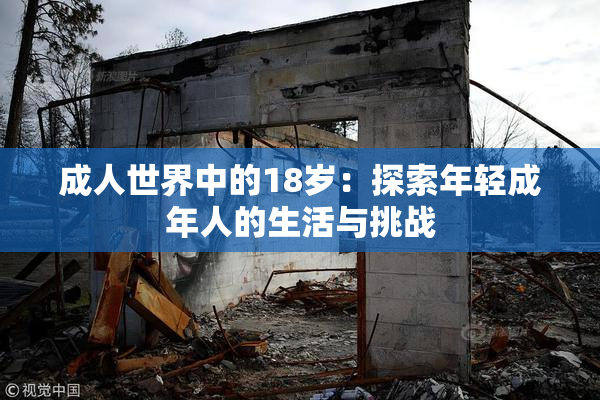 成人世界中的18岁：探索年轻成年人的生活与挑战