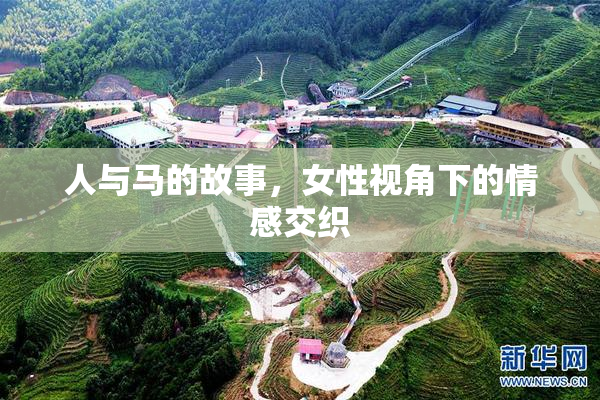 人与马的故事，女性视角下的情感交织
