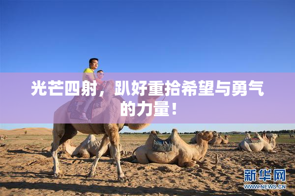 光芒四射，趴好重拾希望与勇气的力量！