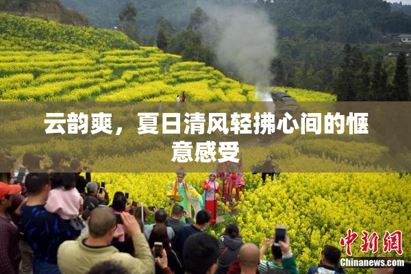 云韵爽，夏日清风轻拂心间的惬意感受