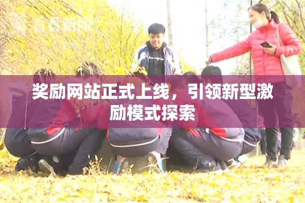 奖励网站正式上线，引领新型激励模式探索