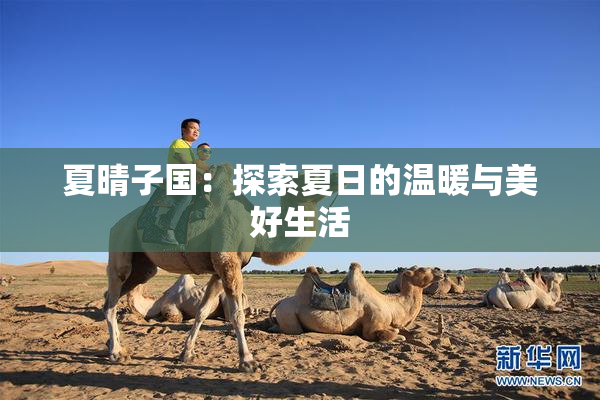 夏晴子国：探索夏日的温暖与美好生活