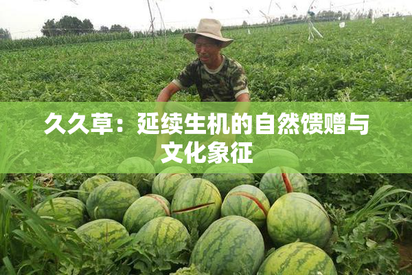 久久草：延续生机的自然馈赠与文化象征