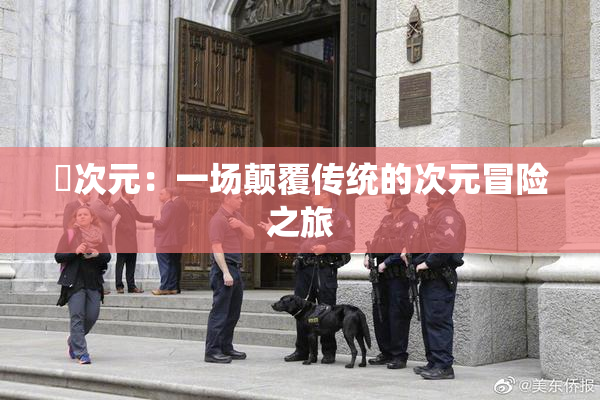 囧次元：一场颠覆传统的次元冒险之旅