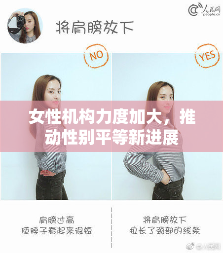 女性机构力度加大，推动性别平等新进展