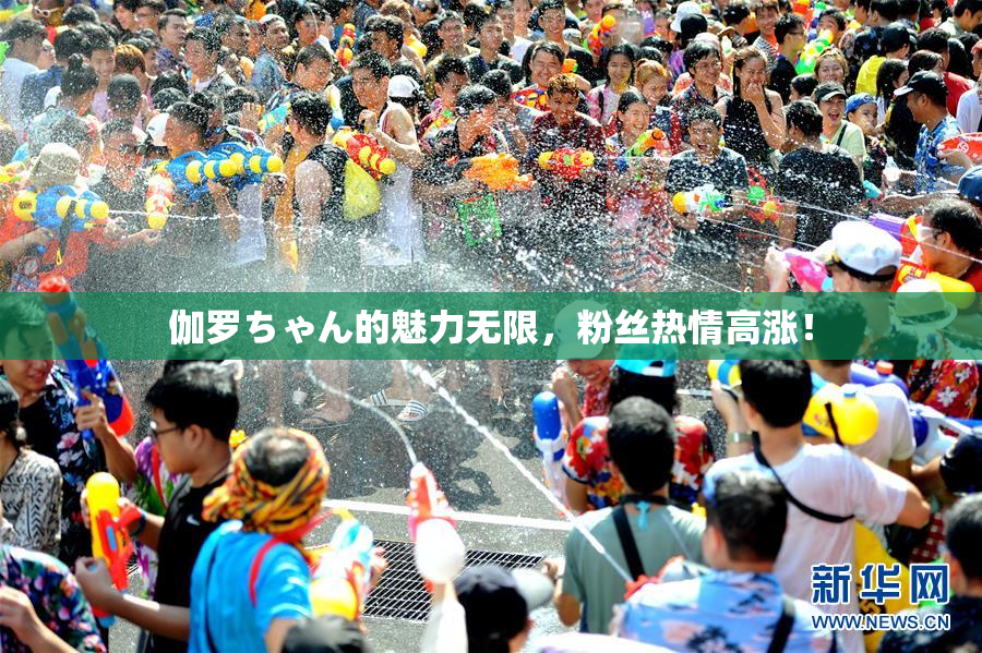 伽罗ちゃん的魅力无限，粉丝热情高涨！
