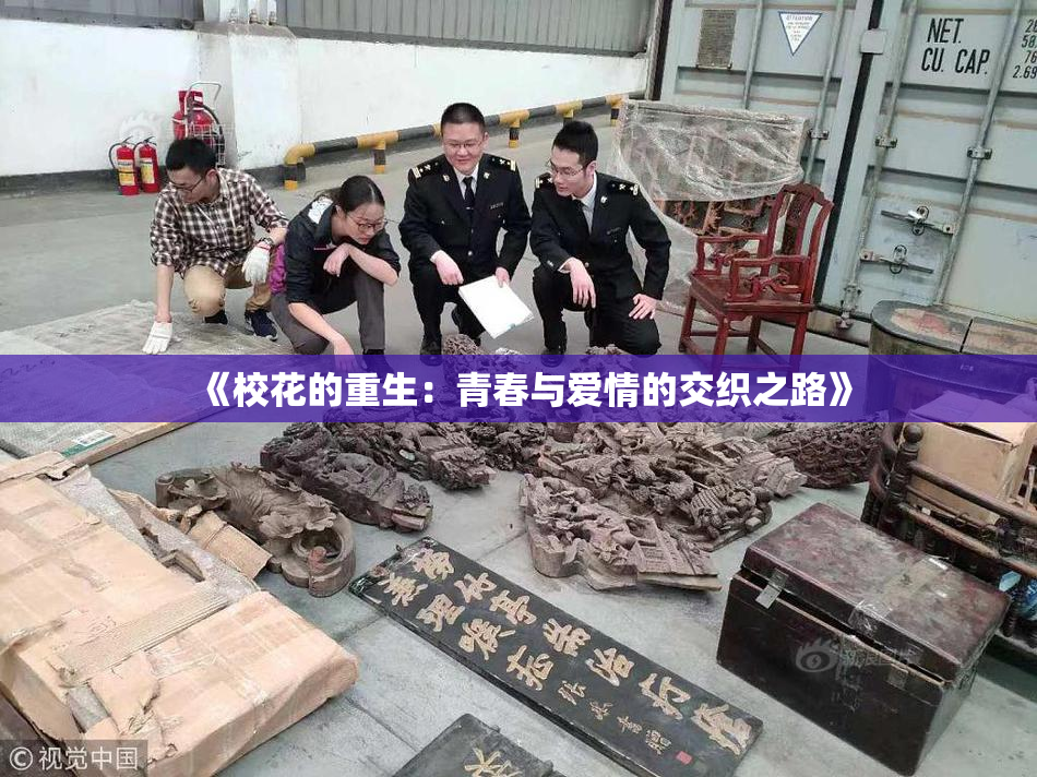 《校花的重生：青春与爱情的交织之路》