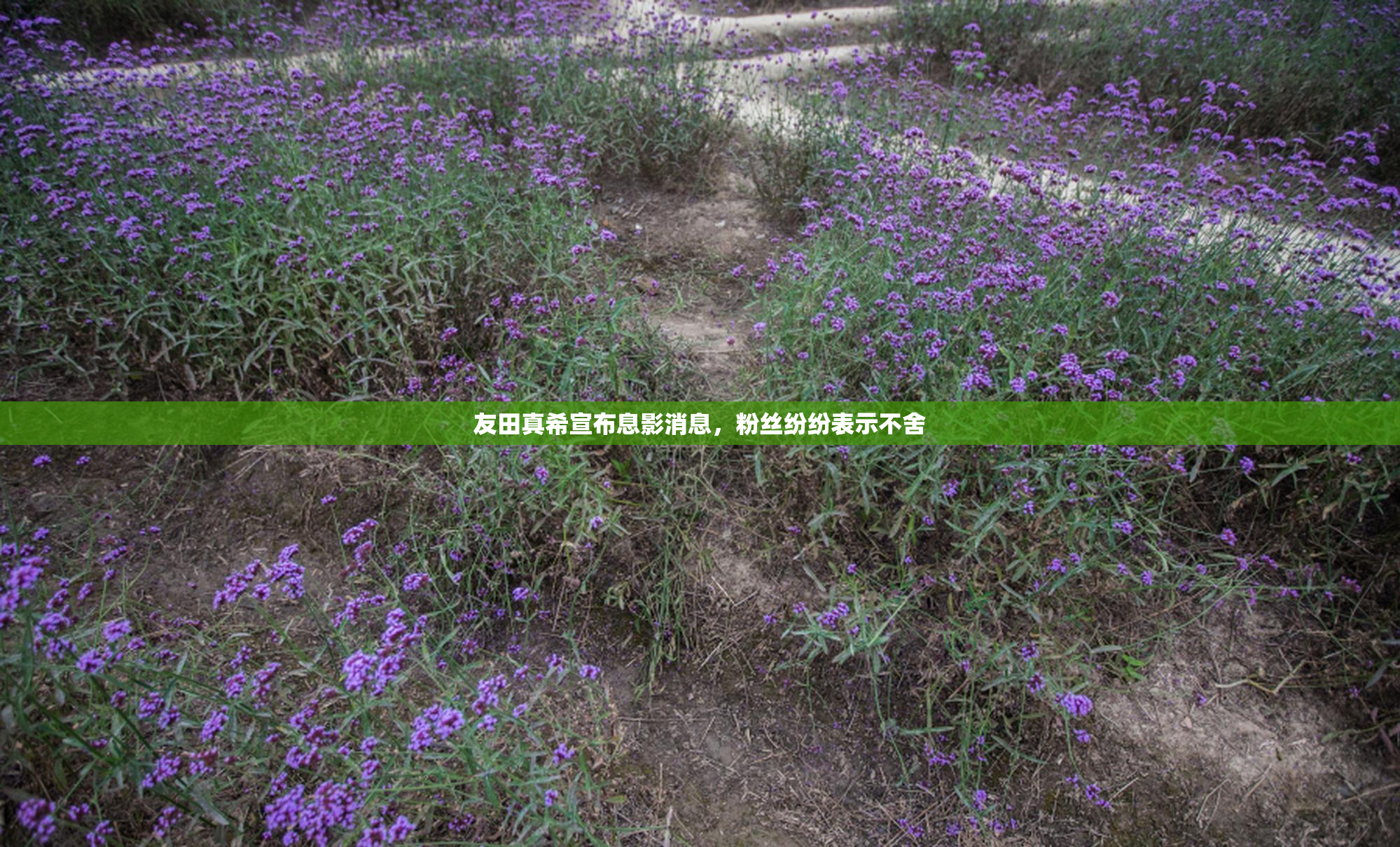 友田真希宣布息影消息，粉丝纷纷表示不舍