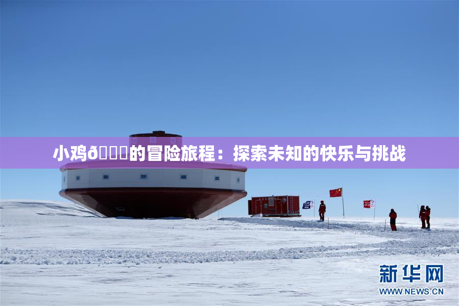 小鸡🐔的冒险旅程：探索未知的快乐与挑战