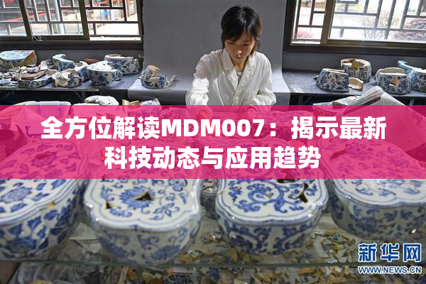 全方位解读MDM007：揭示最新科技动态与应用趋势