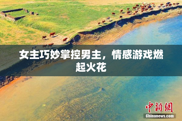 女主巧妙掌控男主，情感游戏燃起火花