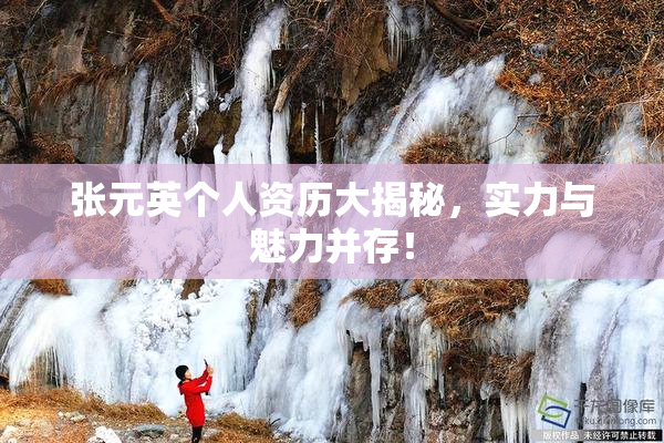 张元英个人资历大揭秘，实力与魅力并存！