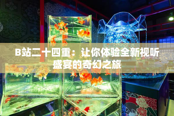 B站二十四重：让你体验全新视听盛宴的奇幻之旅