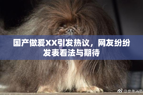 国产做爰XX引发热议，网友纷纷发表看法与期待