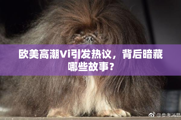 欧美高潮Vi引发热议，背后暗藏哪些故事？