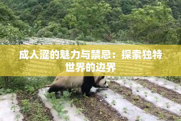 成人涩的魅力与禁忌：探索独特世界的边界