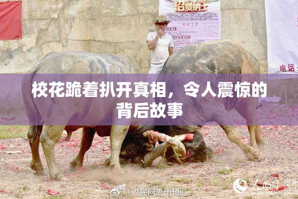 校花跪着扒开真相，令人震惊的背后故事