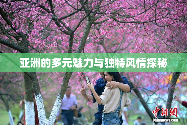 亚洲的多元魅力与独特风情探秘